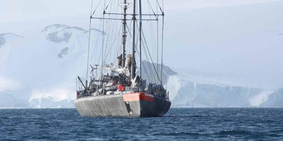 Tara Expeditions