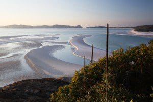 Xantheria at Hills Inlet with Whitehaven Beach stretching   to the horizon, Queensland, Australia
