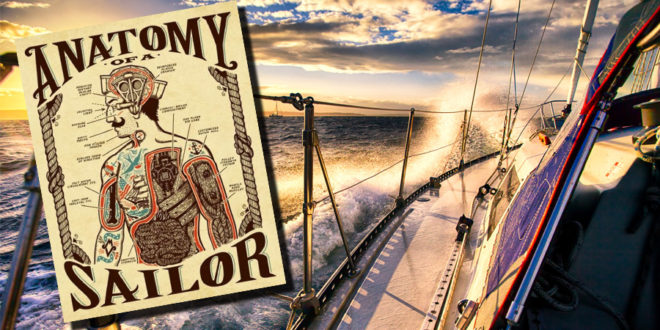Are you a real sailor? Discover your anatomy! INFOGRAPHIC