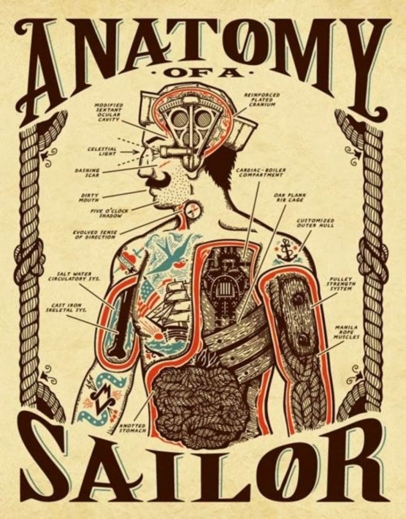 anatomy_of_sailor