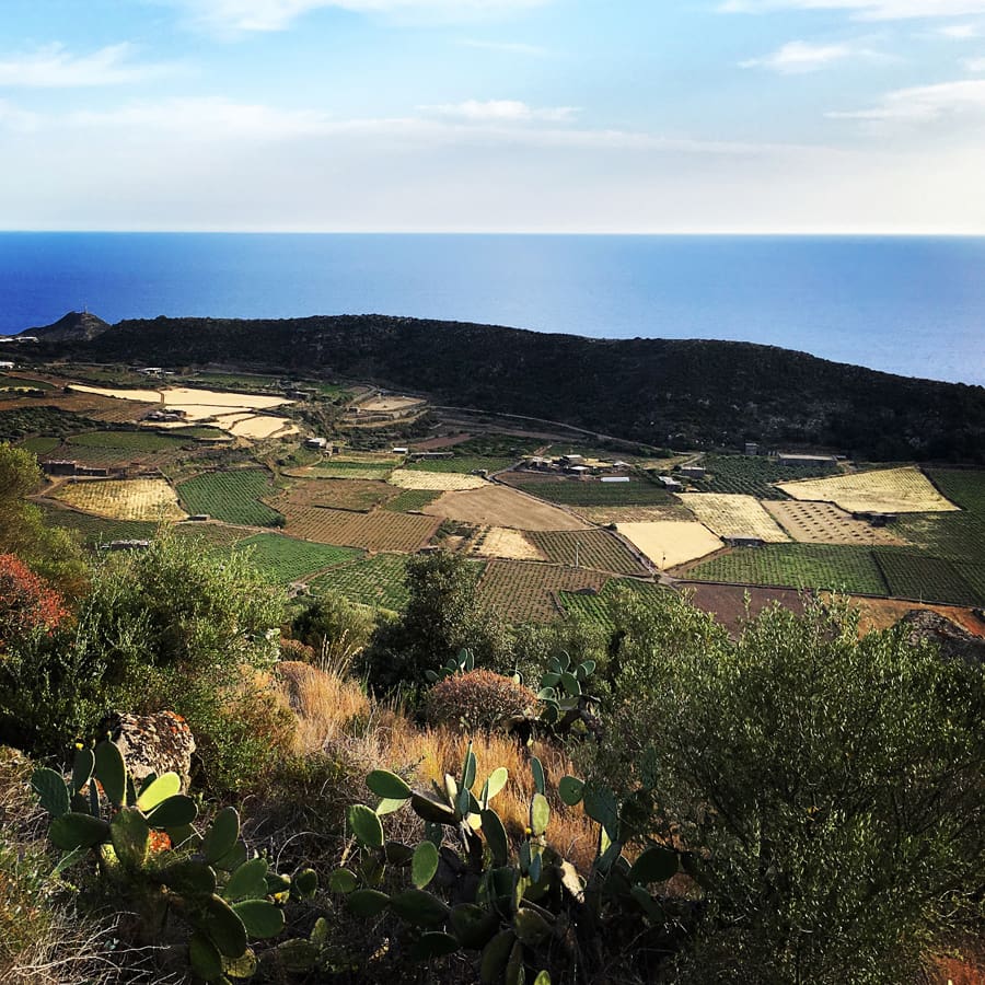 pantelleria lorenzo de simone