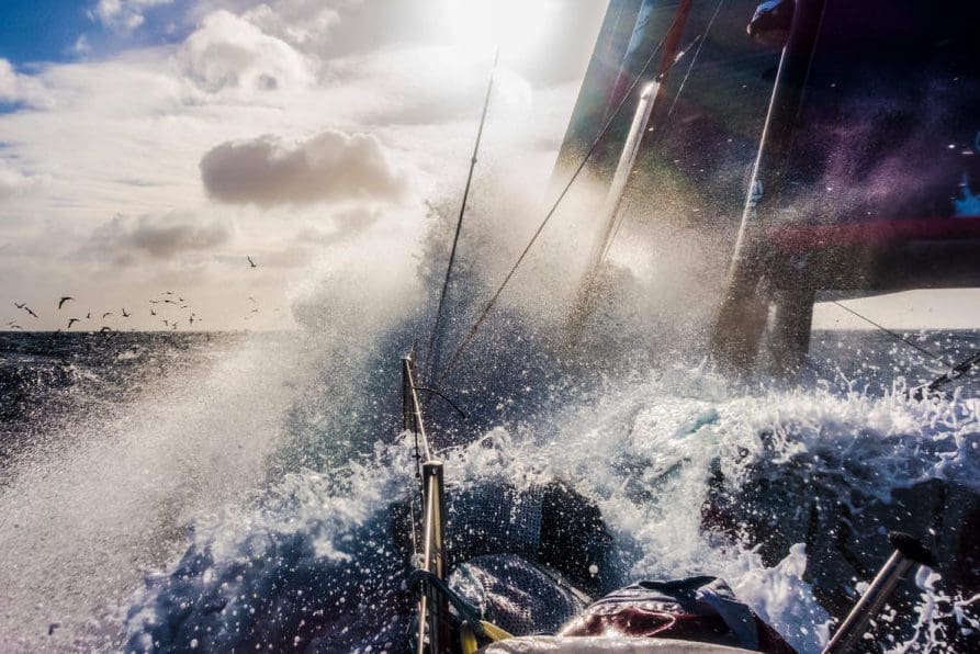 April 04, 2015. Leg 5 to Itajai onboard Team SCA. Day 17. Birds and showers. Nature. Anna-Lena Elled / Team SCA / Volvo Ocean Race