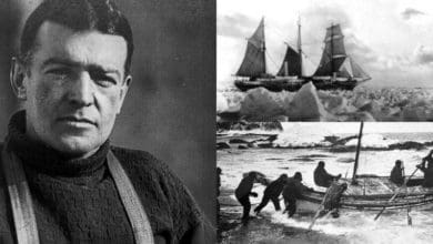 Ernest henry shackleton