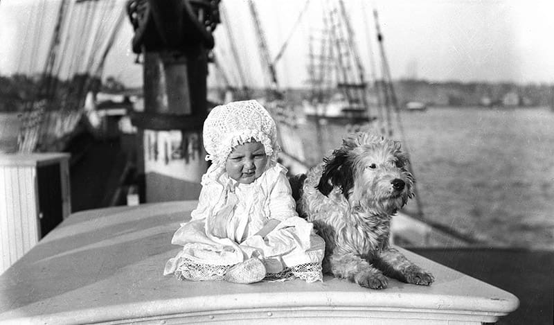 Sailing with Pets