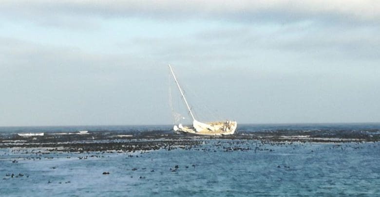 clipper round the world race