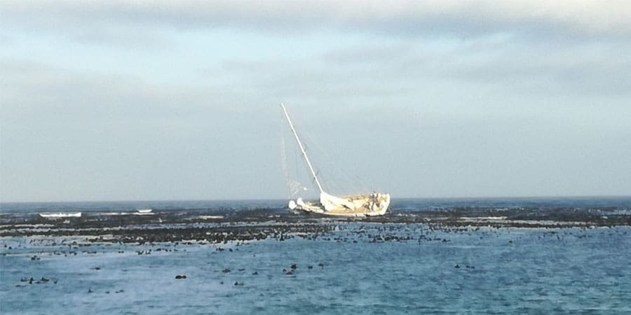 clipper round the world race