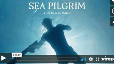 sea pilgrim