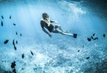 snorkeling dans l'univers de la voile de sécurité