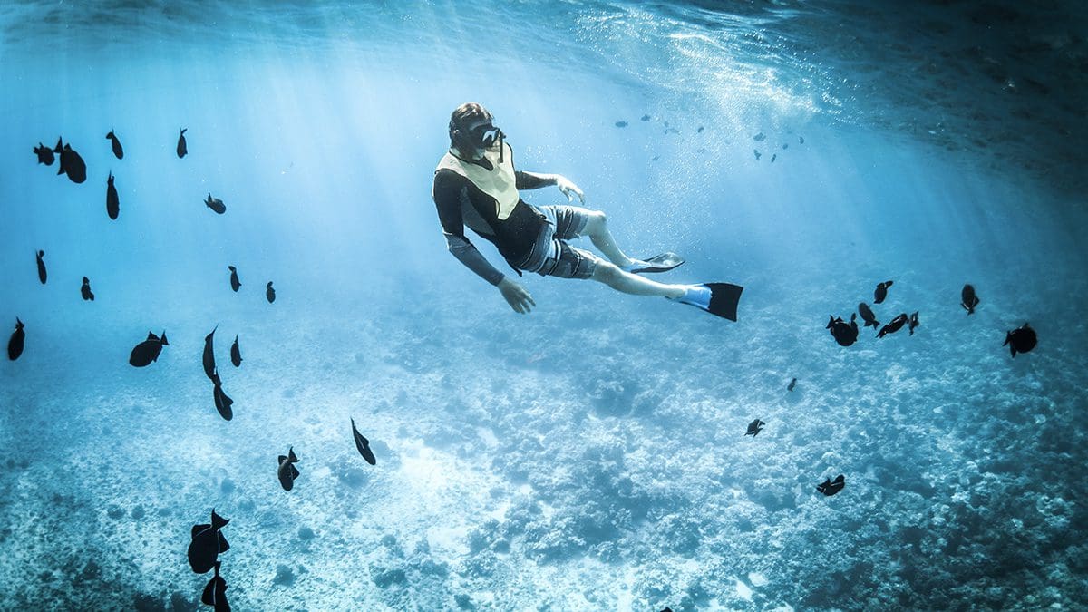 snorkeling in safety sail universe