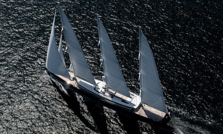 sea eagle II