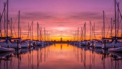 sailboats harbour