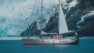 second Pelagic 77 Vinson of Antartica sailing in snowy weather